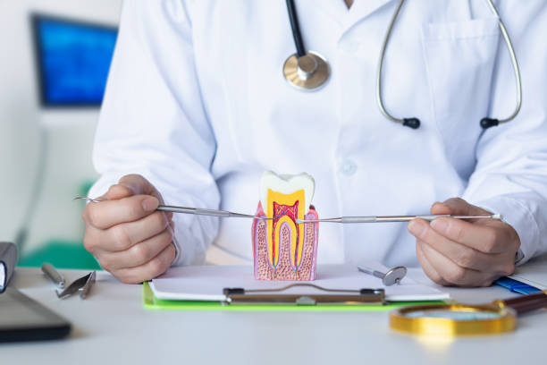 Best Emergency Dental Care for Broken or Chipped Teeth in Independence, LA